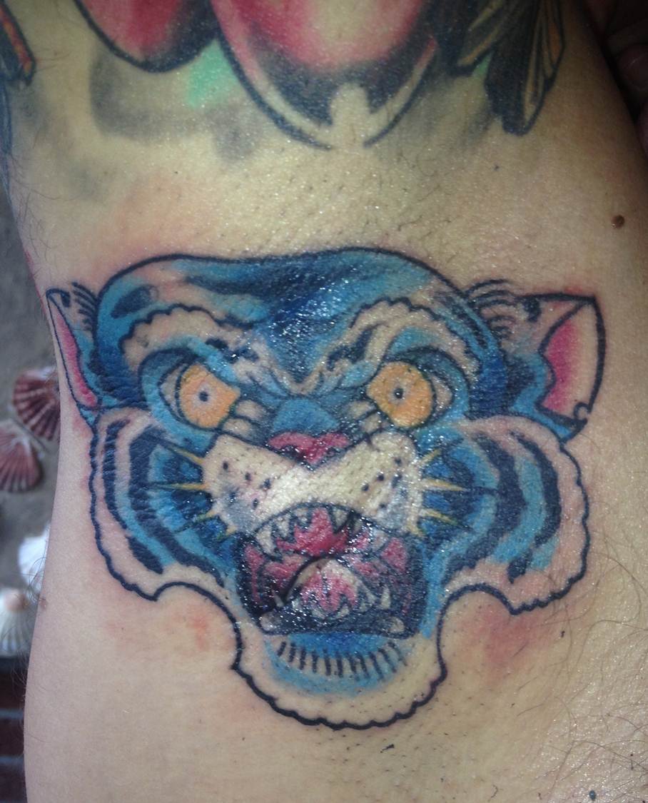 Tiger.jpg