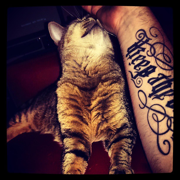 gizmo2.jpg