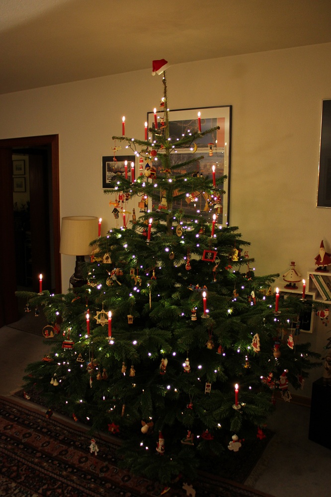 Weihnachtsbaum 2012.jpg