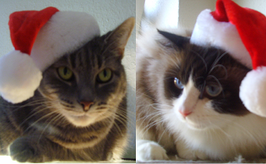 Paula und Hugo.png