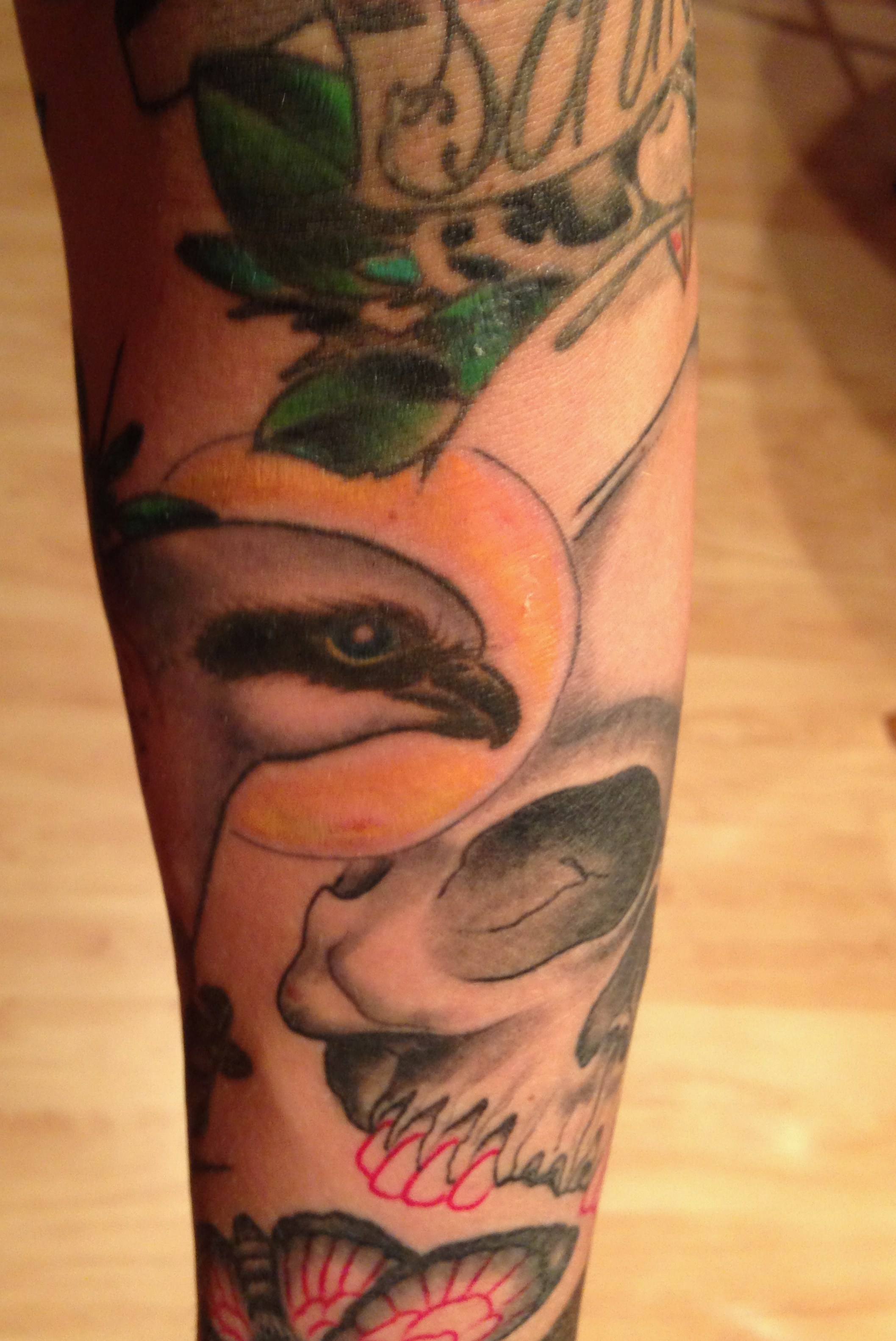 vogel3.jpg