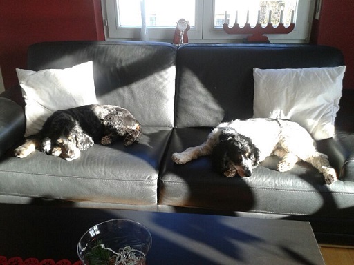 IMG-20131208-WA0003.jpg