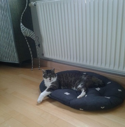 IMG-20131208-WA0009.jpg