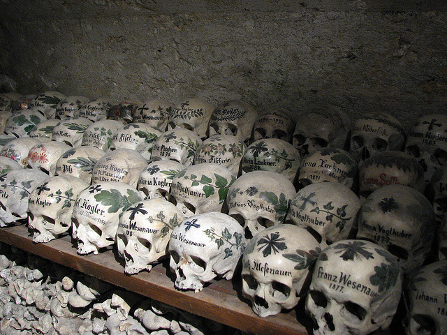 bones32011.jpg