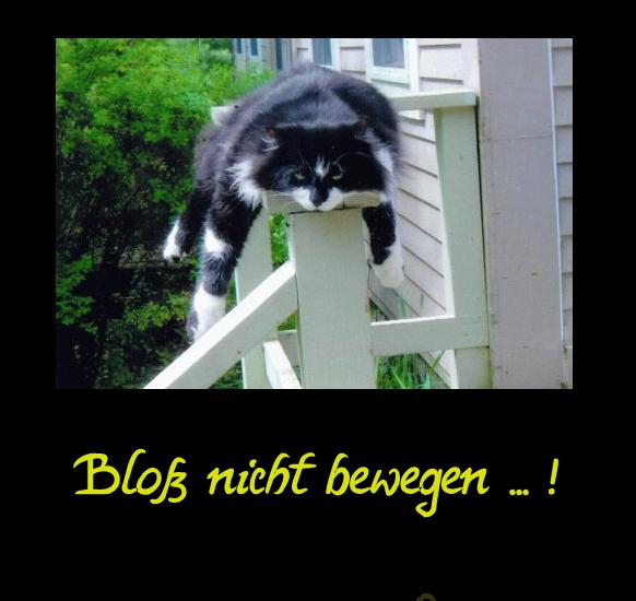 Bloß nicht bewegen ...!.JPG