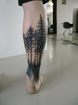 Baum_wurzeln.jpg