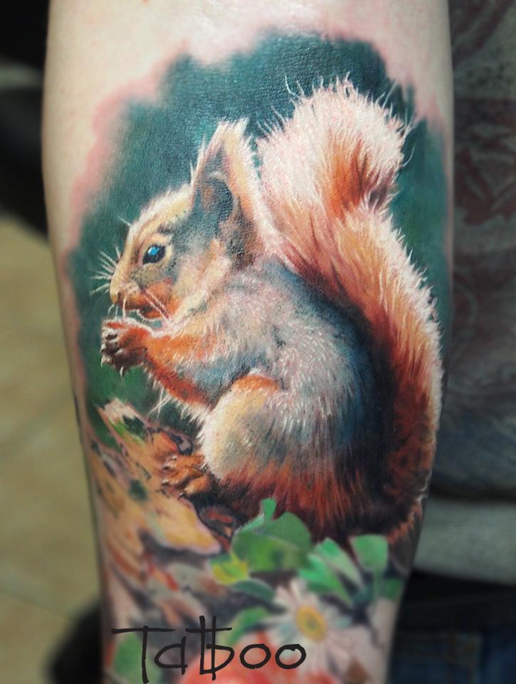 Eichhörnchen.jpg