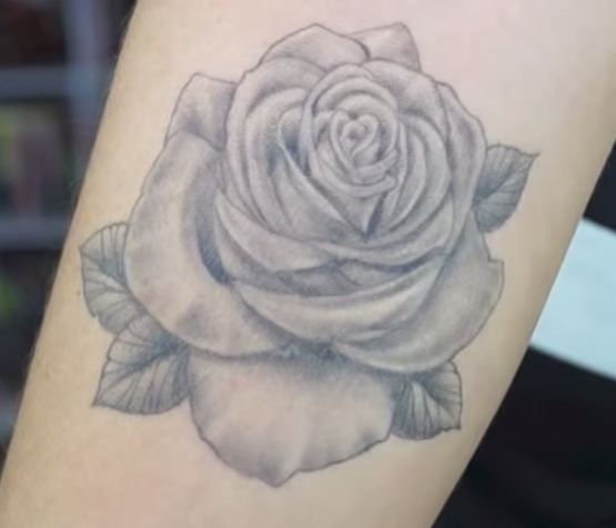 rose.JPG