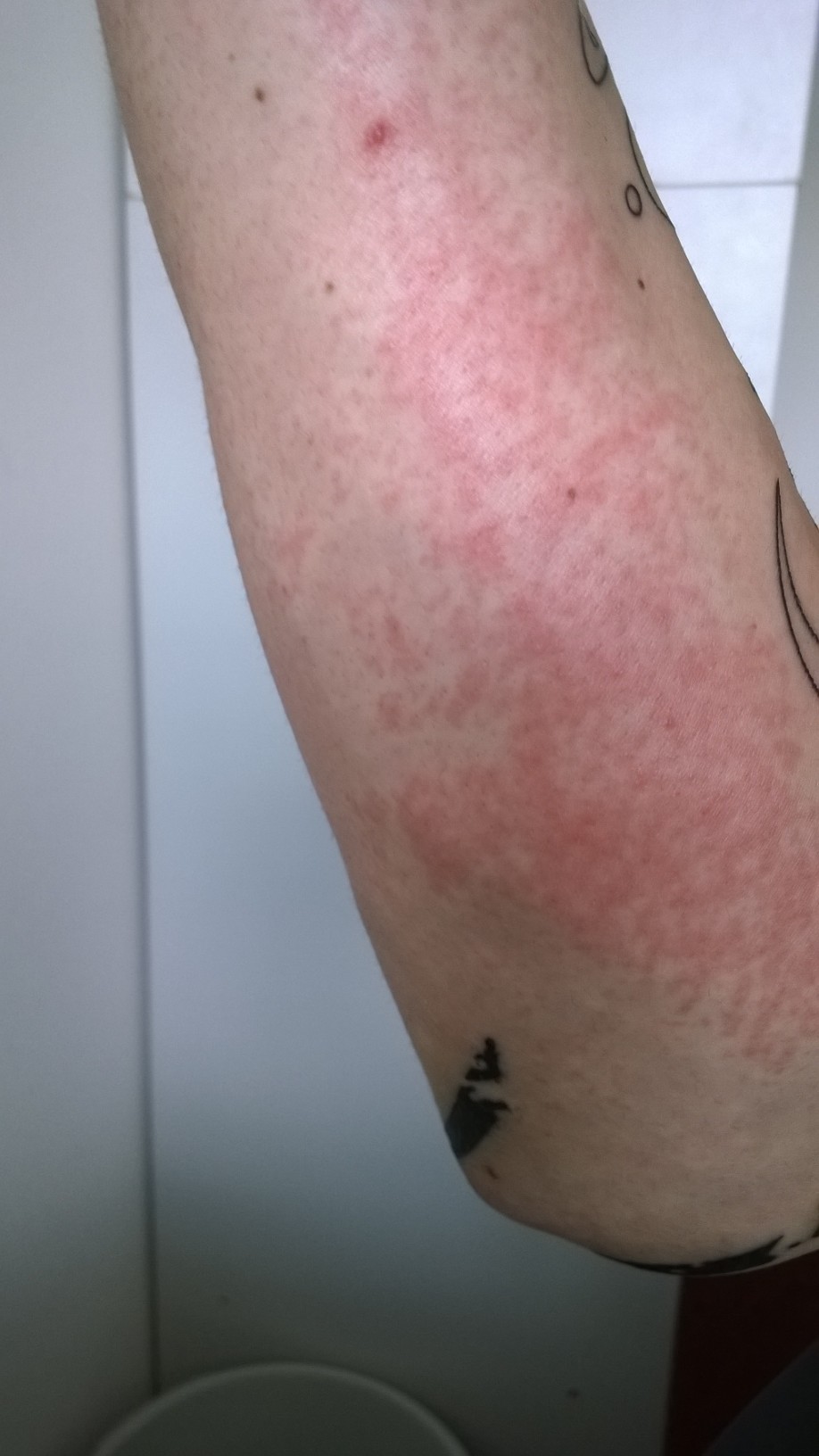 WP_20140801_002.jpg