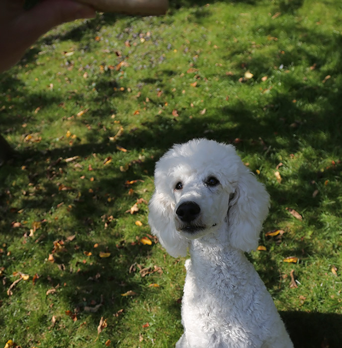co_keks2_06.09.2014.jpg