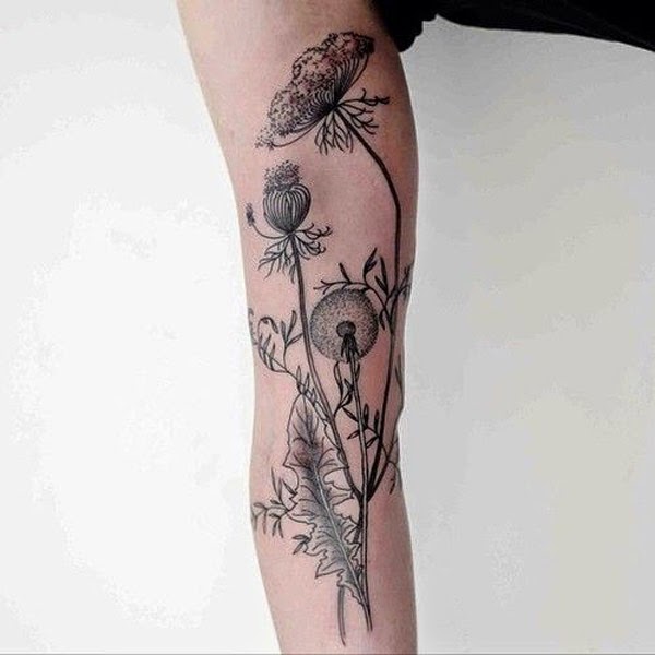 botanical_tattoo.jpg