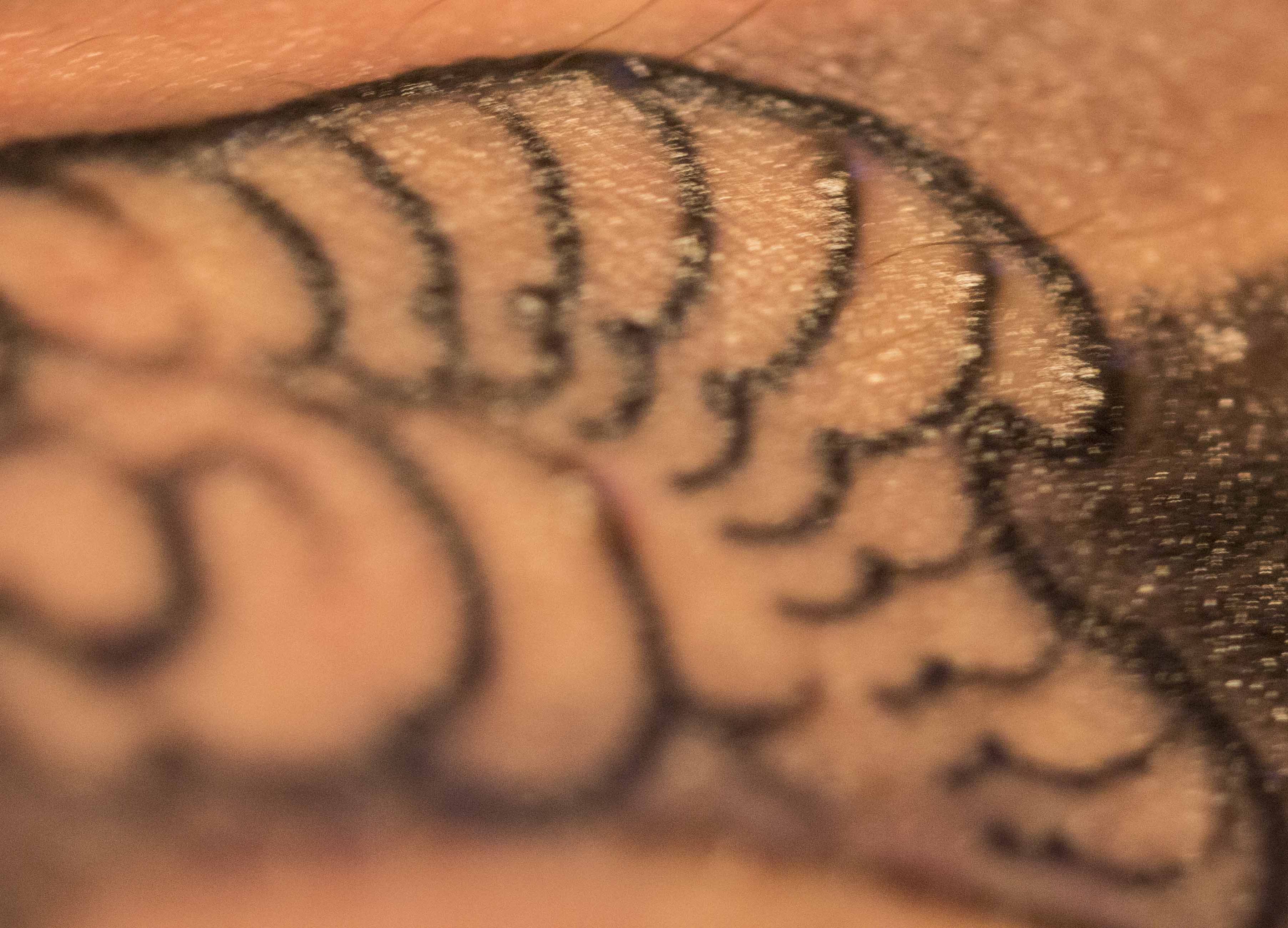 tattoo.jpg