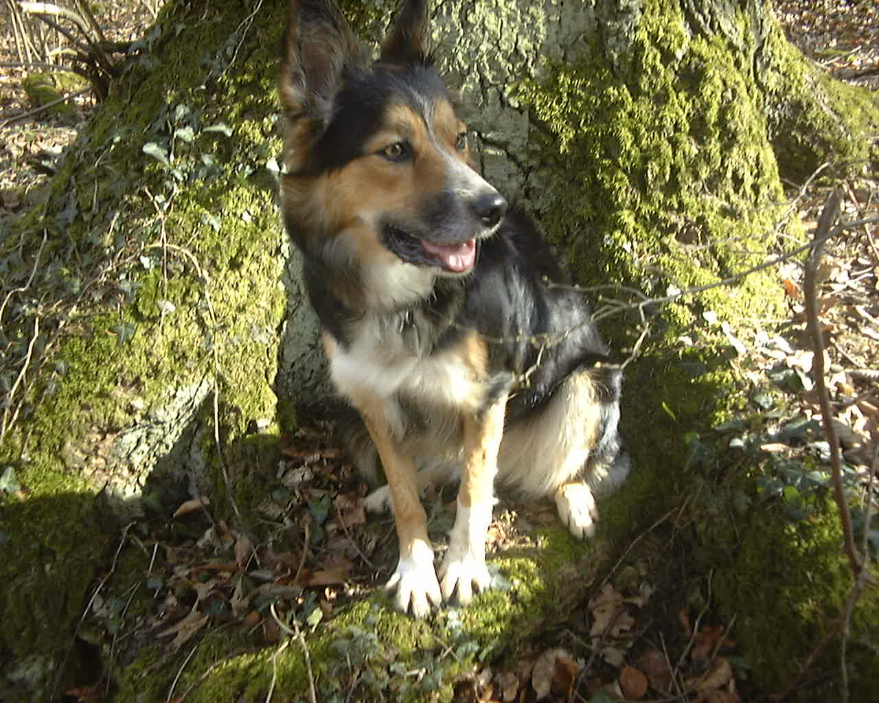 Bild 071.jpg