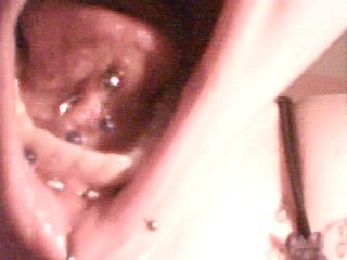 Image9.JPG