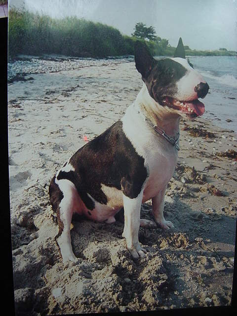 Bild 001.jpg