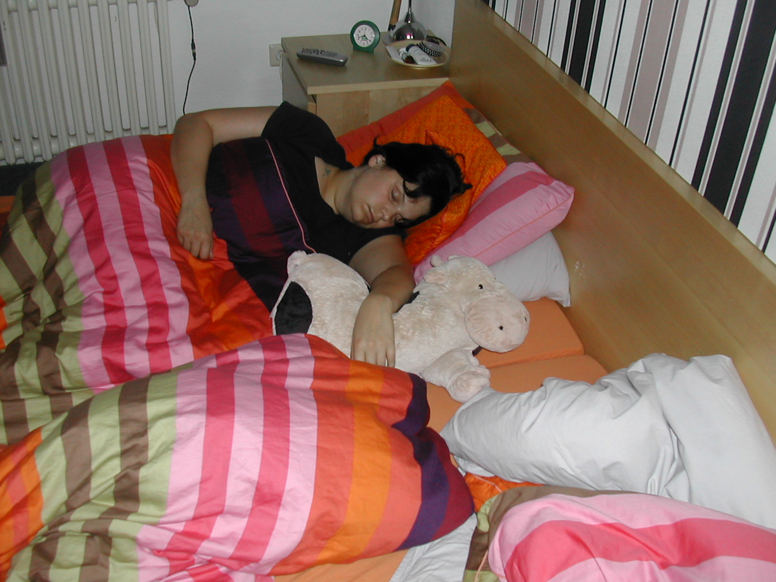 Nikki schlÃƒÂ¤ft.JPG