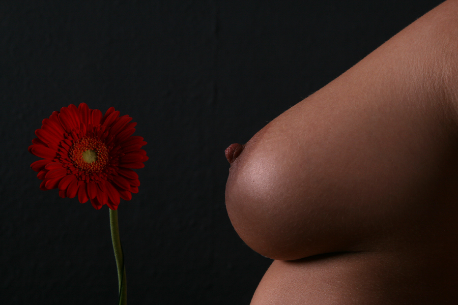 flower_power.jpg