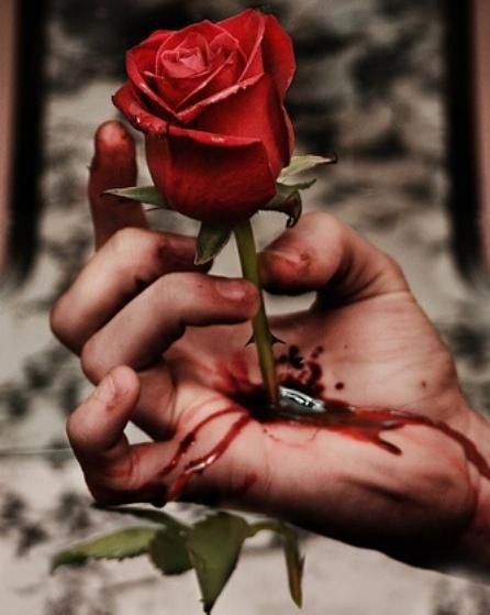 rose.jpg
