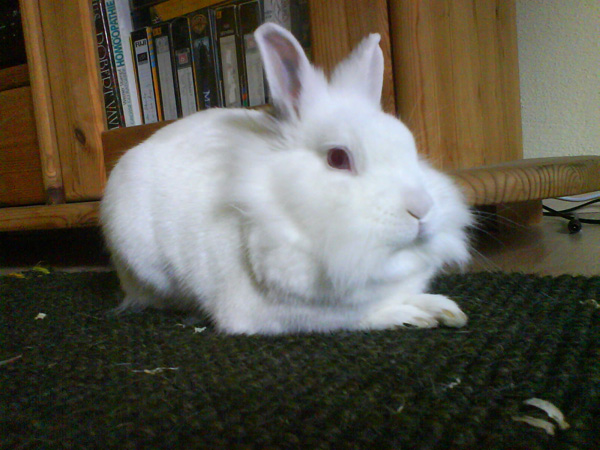 DSC00236.JPG