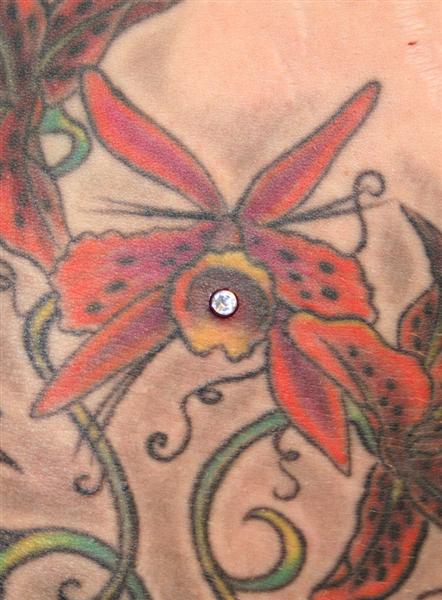 Katja Dermal Lilie (Medium).jpg