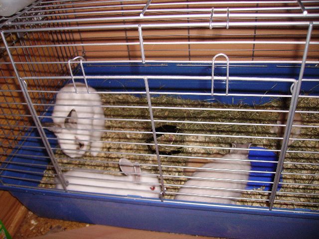 PICT0513.jpg