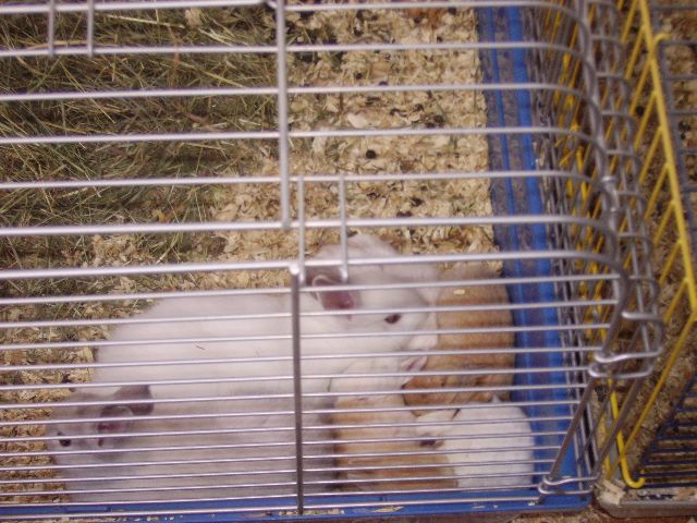 PICT0518.jpg