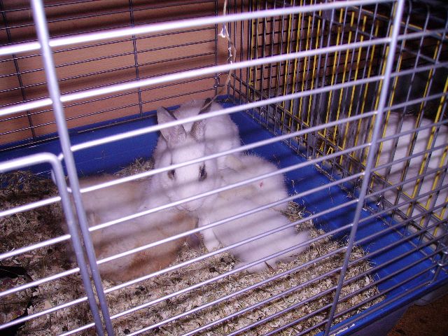 PICT0527.jpg