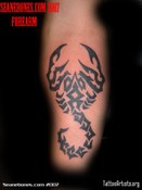 Thm80287_tribalscorpion.jpg