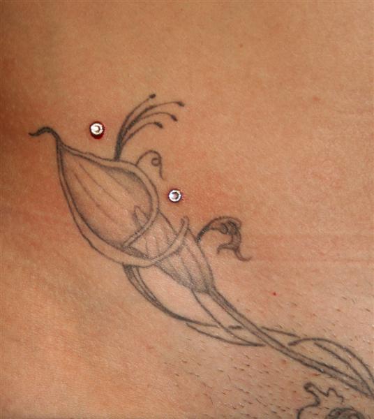 mdÃ‚Â´s um blume (Medium).jpg