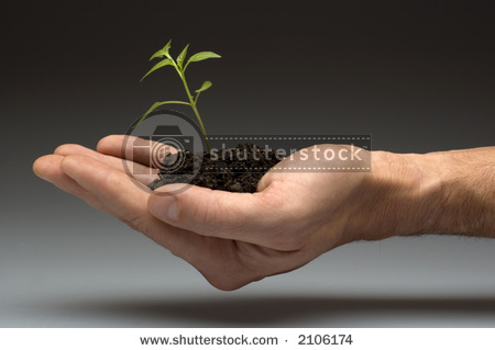 52030,1162548842,4.jpg