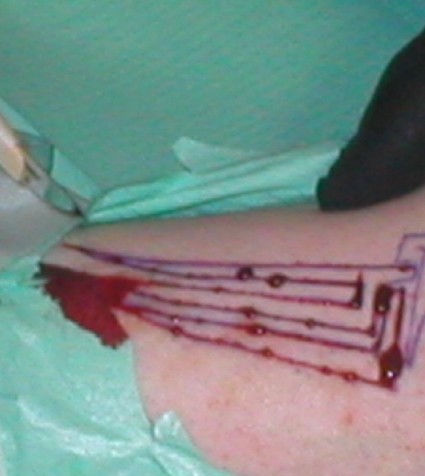 cut2.JPG