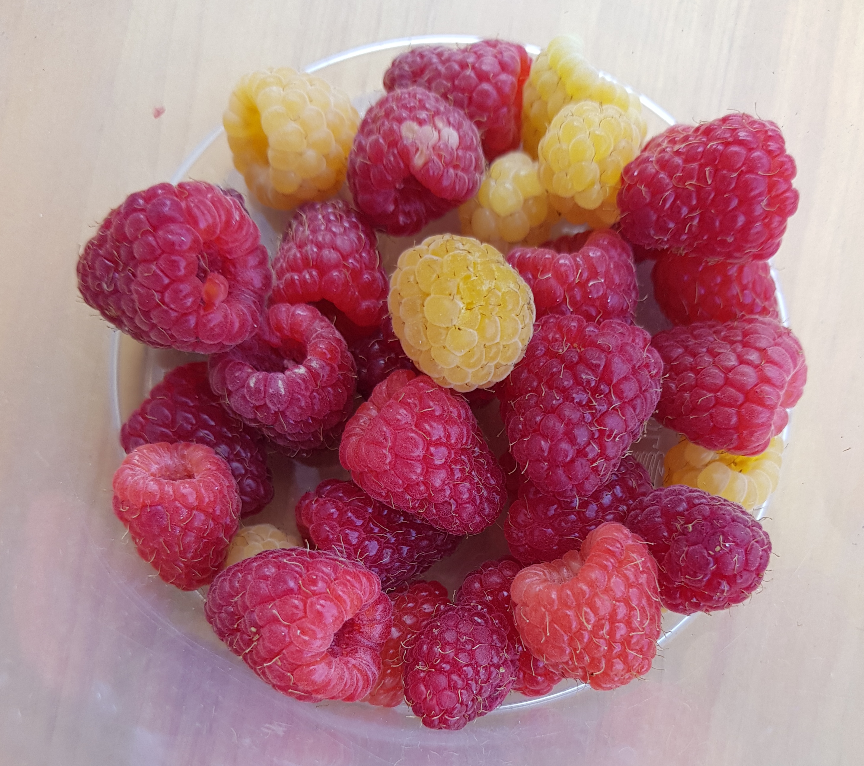 Himbeeren.jpg