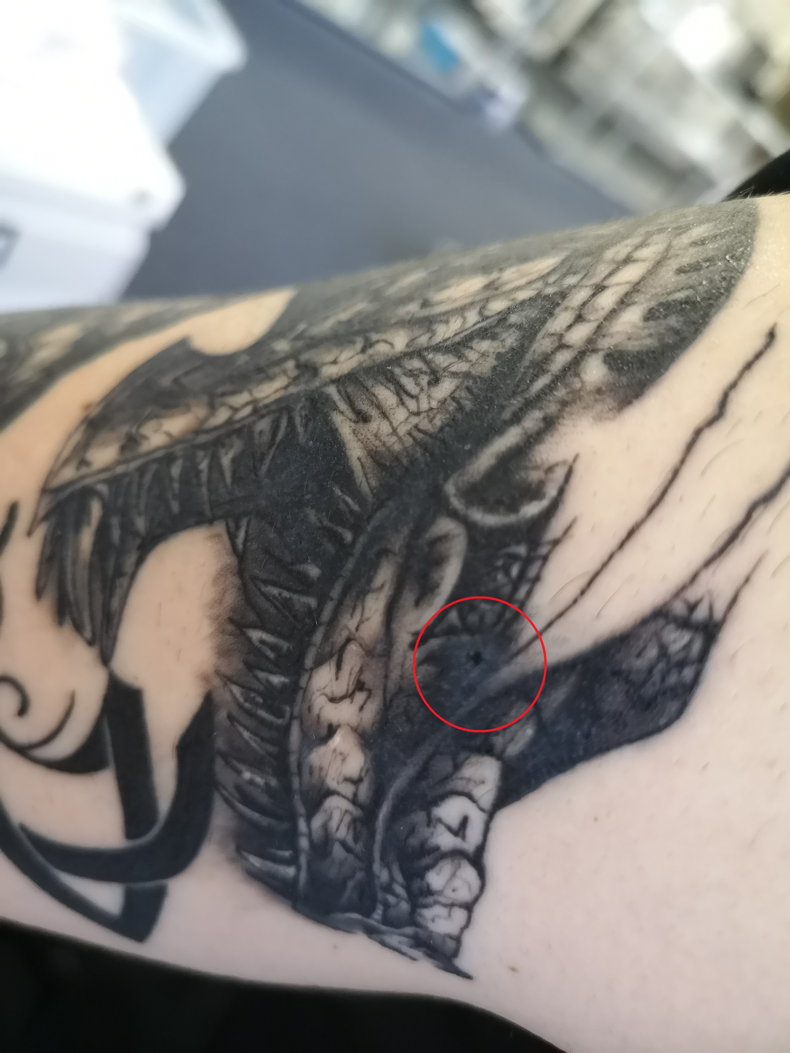 KFKA zu Pflege, Heilung und deren Verlauf Tattoopflege 14