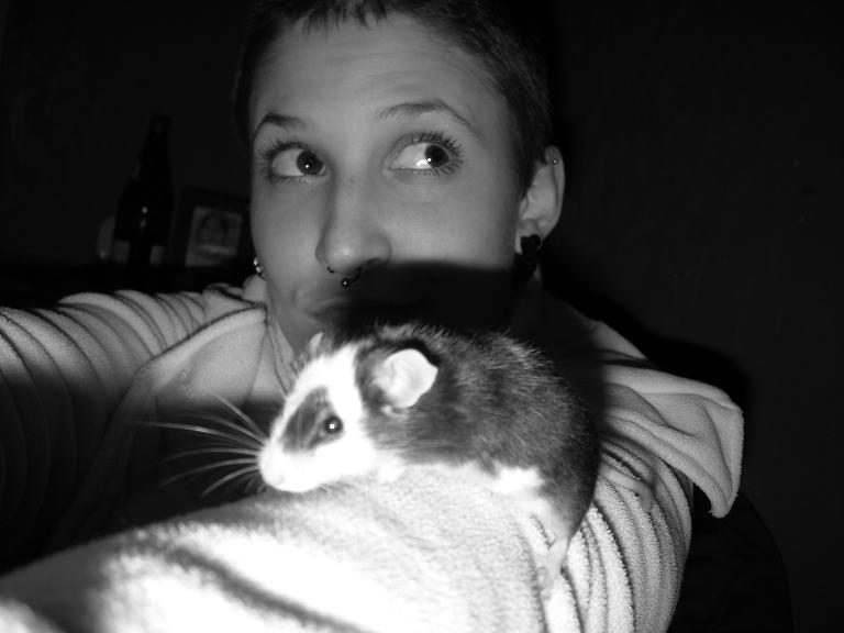 mr. maus 015klein.JPG
