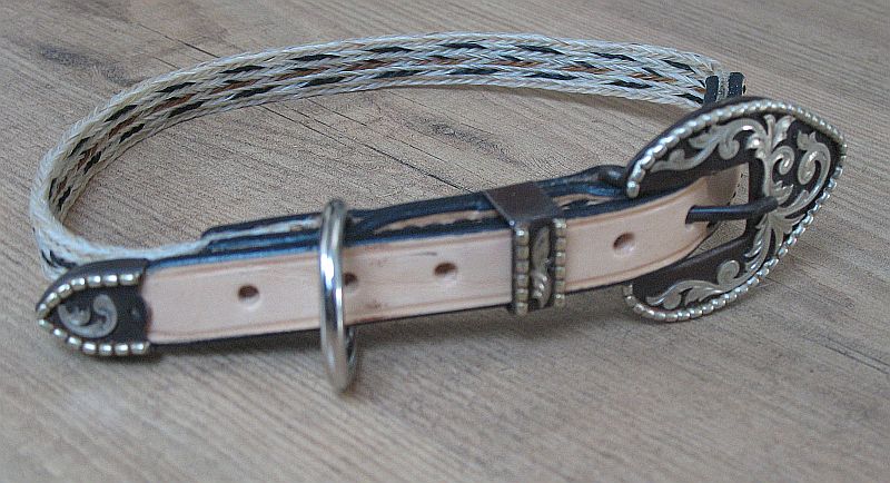 Halsband.jpg