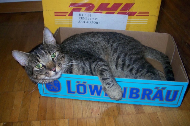 Puski.jpg