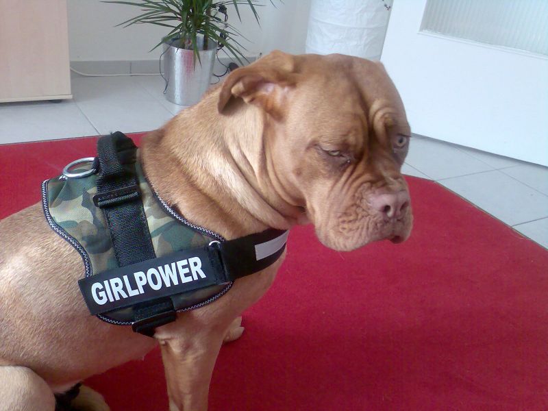 Bild029.jpg