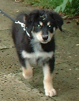 DSCF0122.JPG