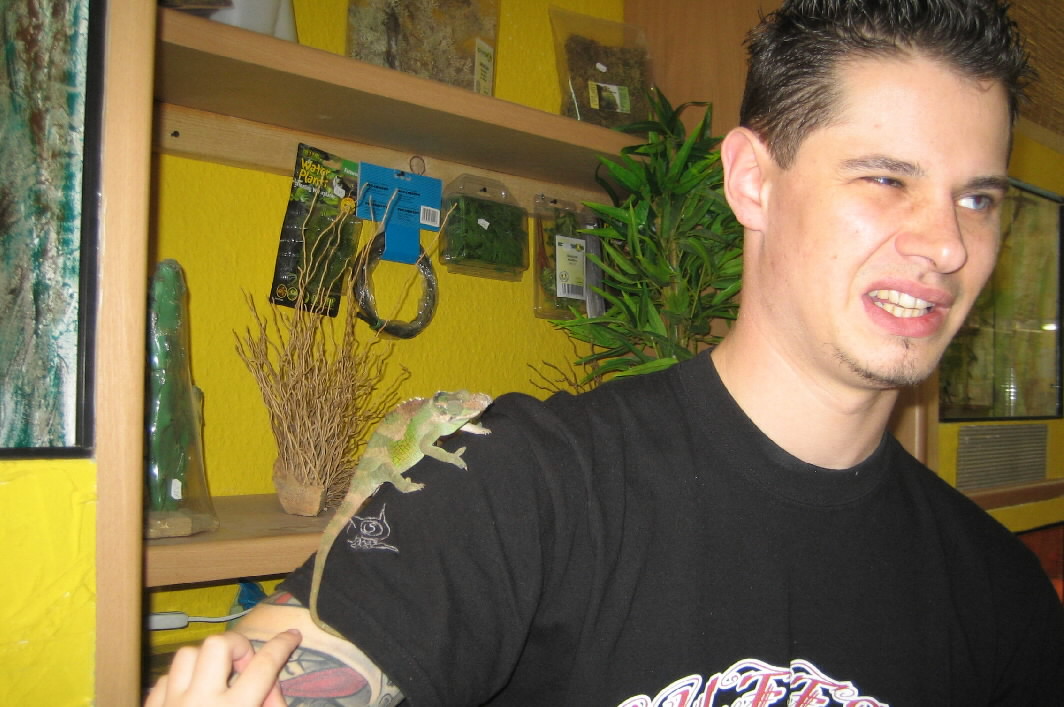 bei_daniel_9.jpg