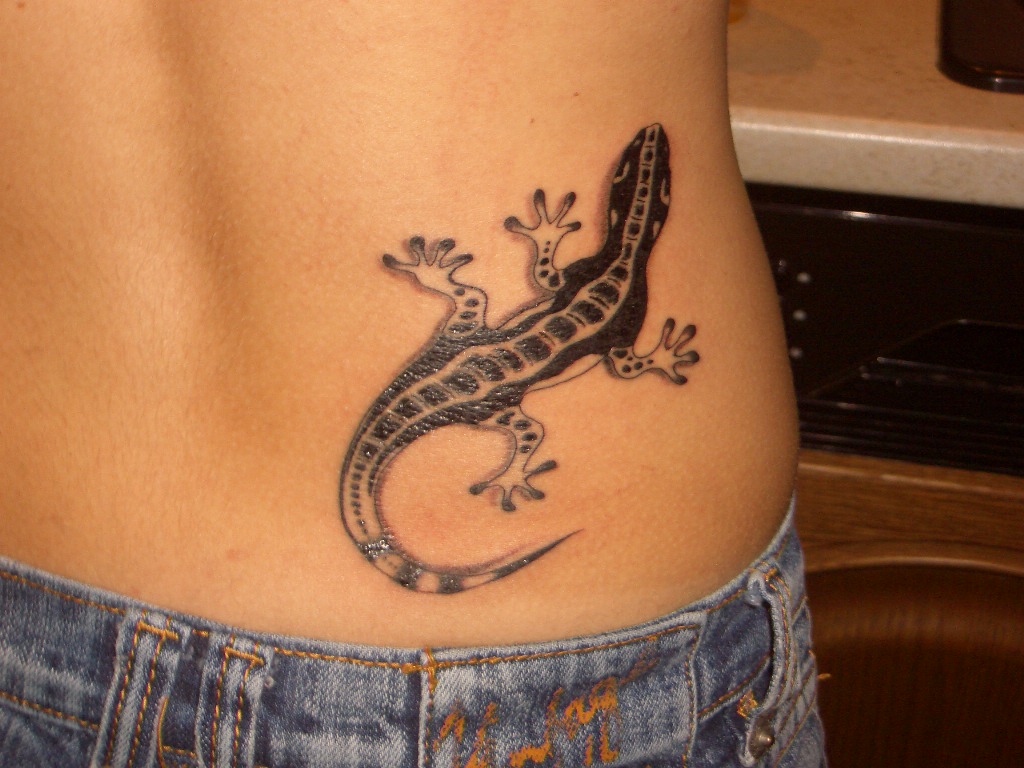 mygecko 011.JPG