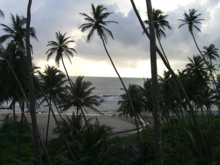 Indien_ 06 040.JPG