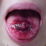 piercing 4.jpg