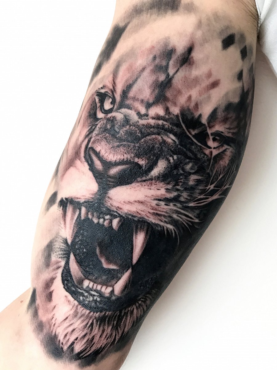 14+ Listen von Tattoo Motive Tiere? Wer also ein spezielles motiv sucht